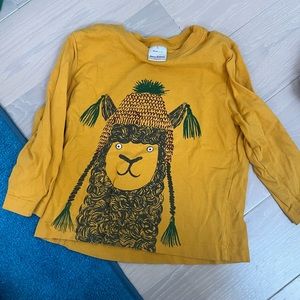 Hanna Andersson 3T long sleeve llama shirt 

GUC
